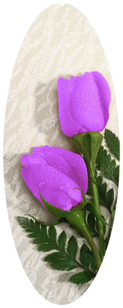 DNSA18-052 2 Roses Lavender